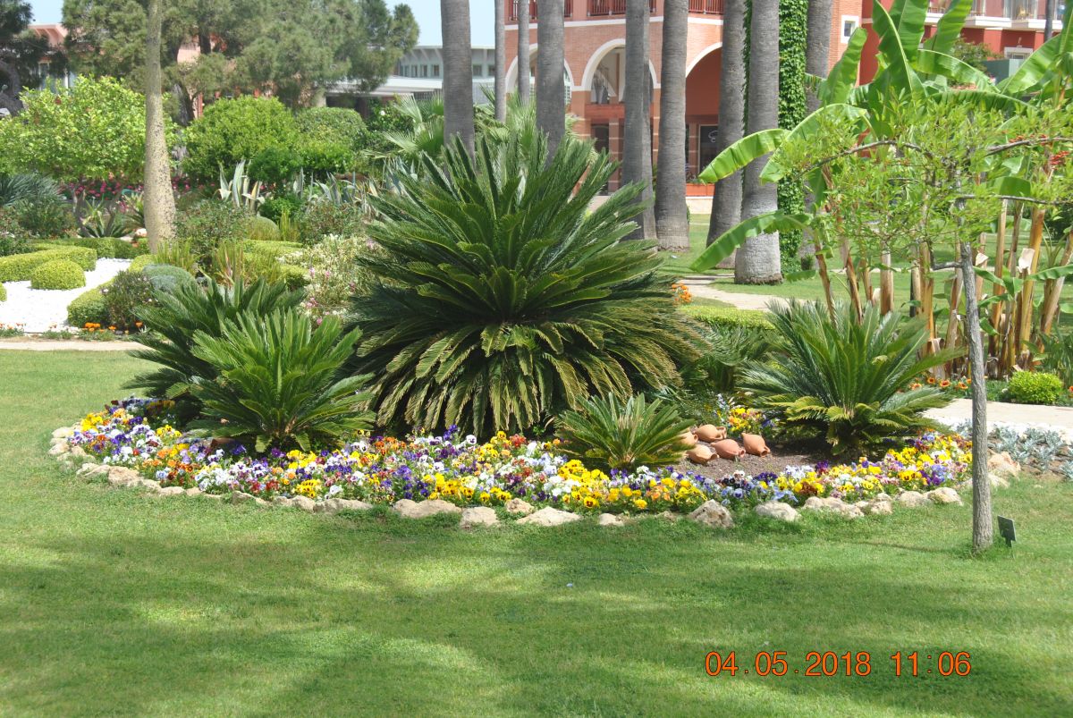 imagini hotel CLUB MEGASARAY BELEK